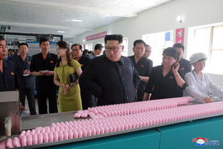 金正恩視察朝中接壤地區(qū) 參觀化妝品廠凸顯經(jīng)濟多元化戰(zhàn)略